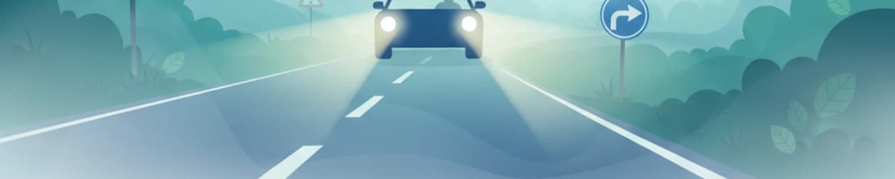 Conducción en condiciones de niebla y baja visibilidad en Dinamarca