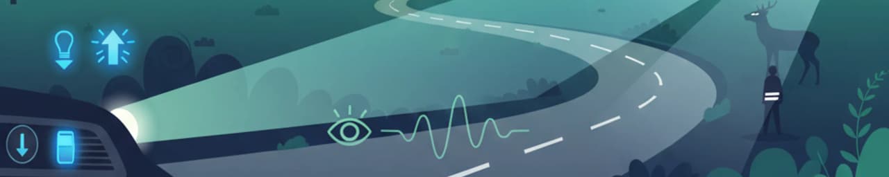 Night Driving: Visibility and Hazard Awareness in Spain
