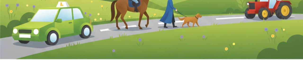 Sécurité de conduite autour des usagers vulnérables sur les routes rurales irlandaises