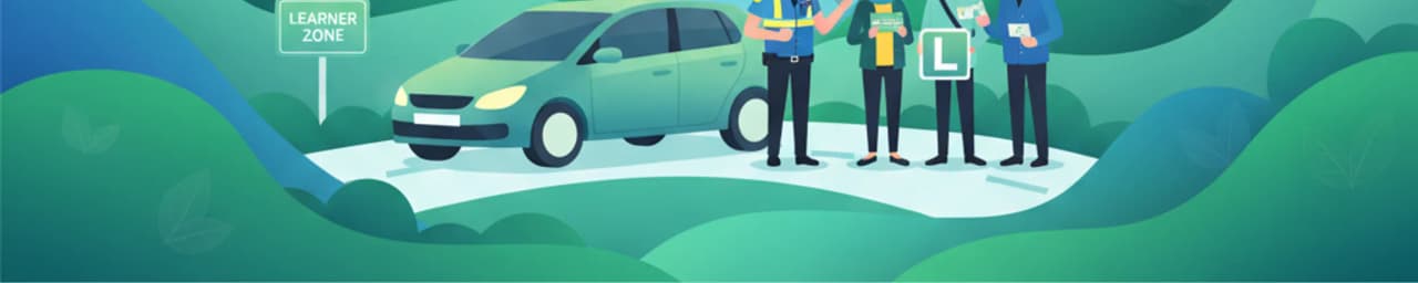 Garda-Straßenkontrollen und Irish Road Judgement