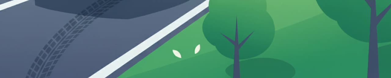 Bremsweg und Reaktionszeit für die italienische Fahrprüfungs-Theorie