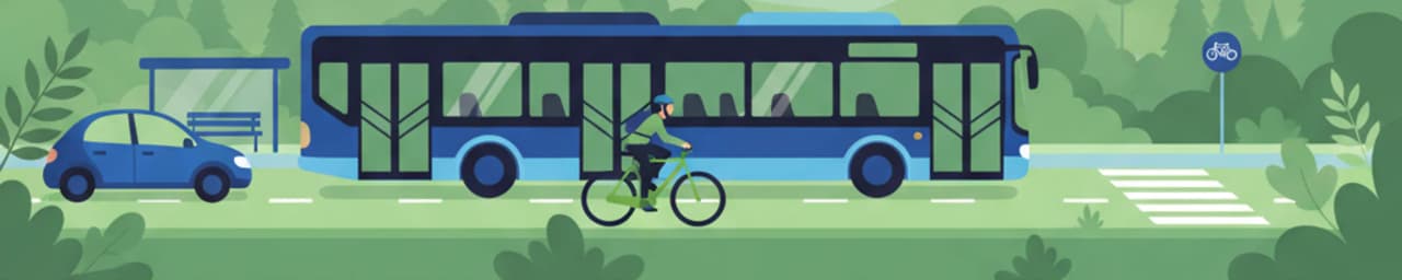 Carriles Compartidos Polacos: Autobuses, Ciclistas y Coches