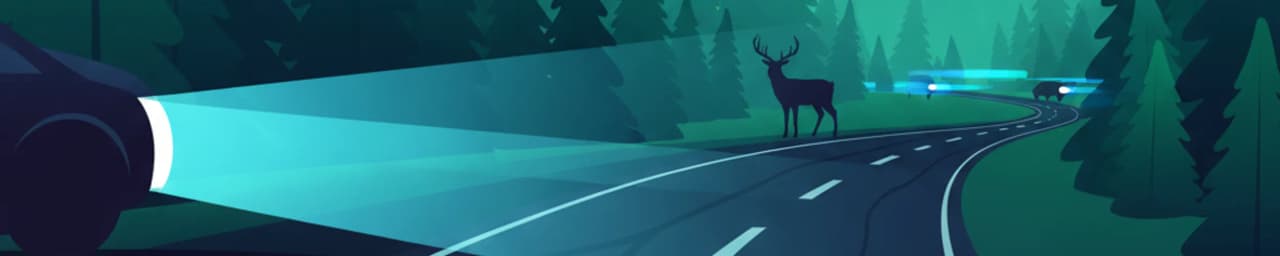 Skid Awareness and Night Visibility in Swedish Driving