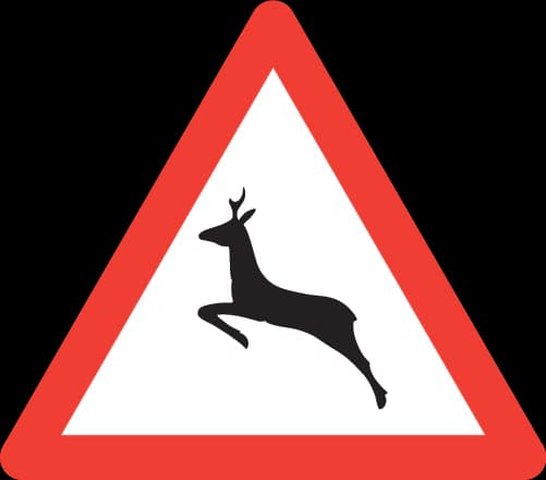 1.24 - Panneau routier Animaux sauvages traversant