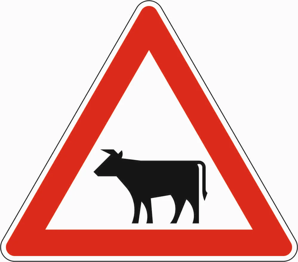 101-12 - Viehtrieb - Aufstellung rechts Verkehrsschild