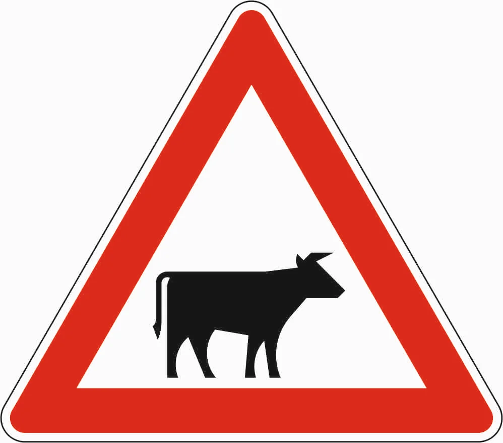 101-22 - Viehtrieb - Aufstellung links Verkehrsschild