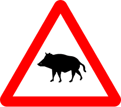 P-24a - Wild boars road sign