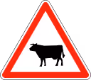 Cattle road sign from France