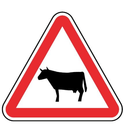 A19a - A19a - Dieren (Dieren) verkeersbord