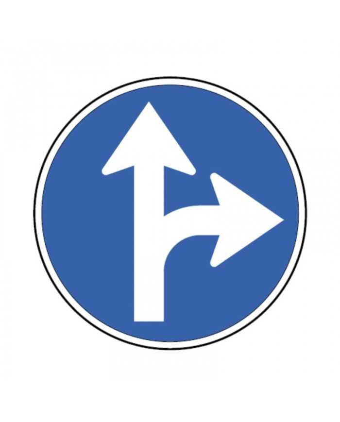 D2b - D2b - Olasbilecek Zorunlu Yönler trafik işareti