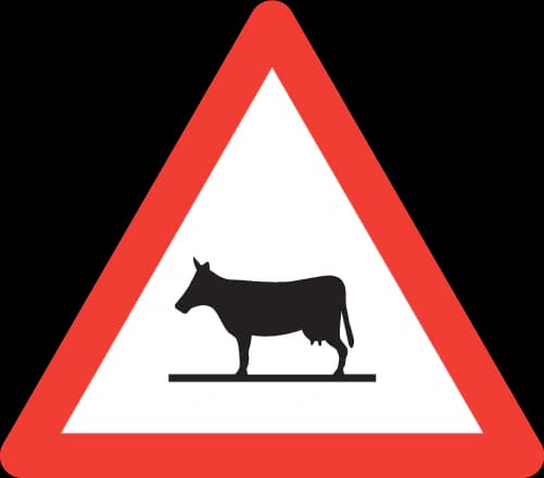 1.25 - Panneau routier Animaux sur la route